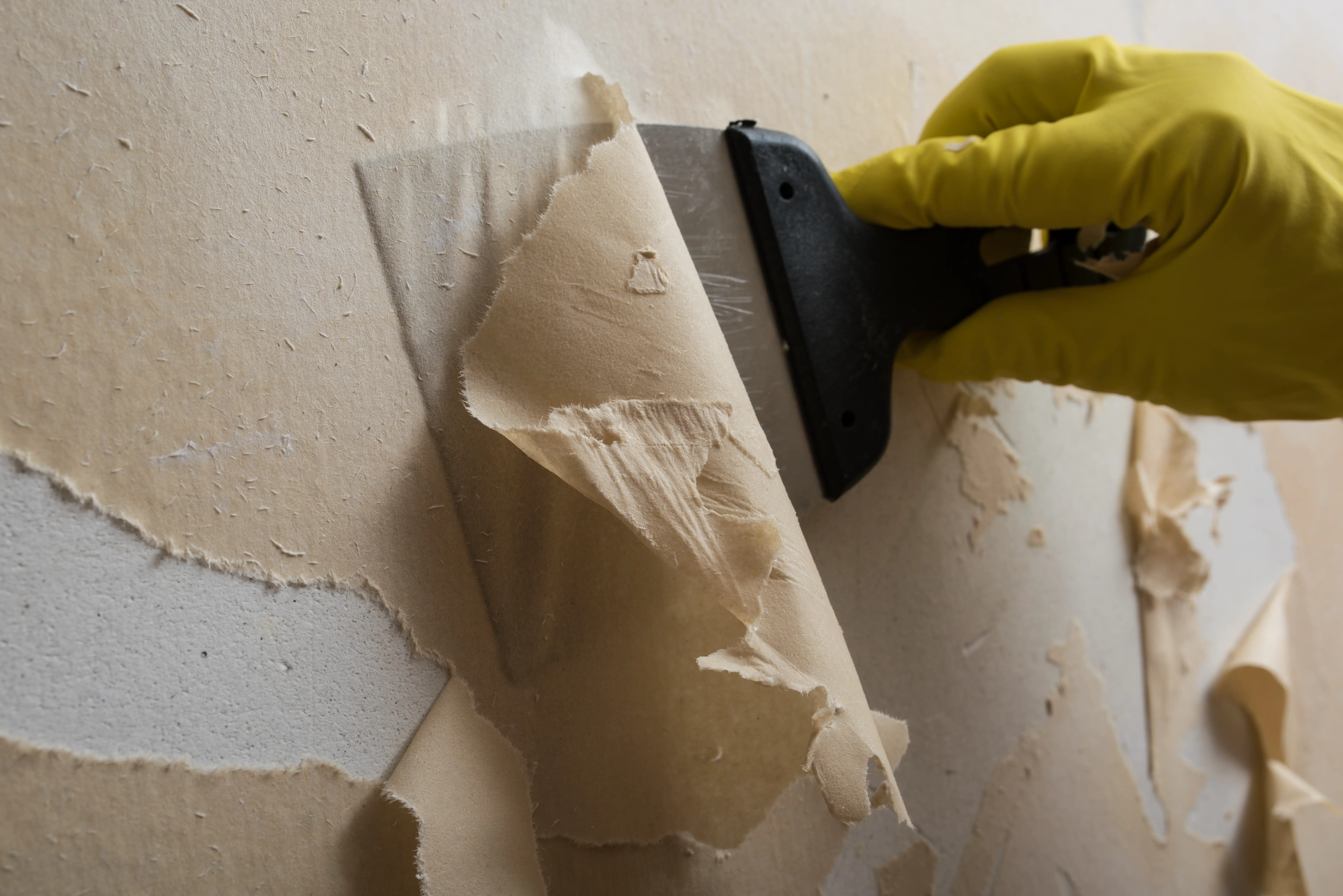 Wallpaper Can Cause Mold. Here's What To Do – House Overhaul