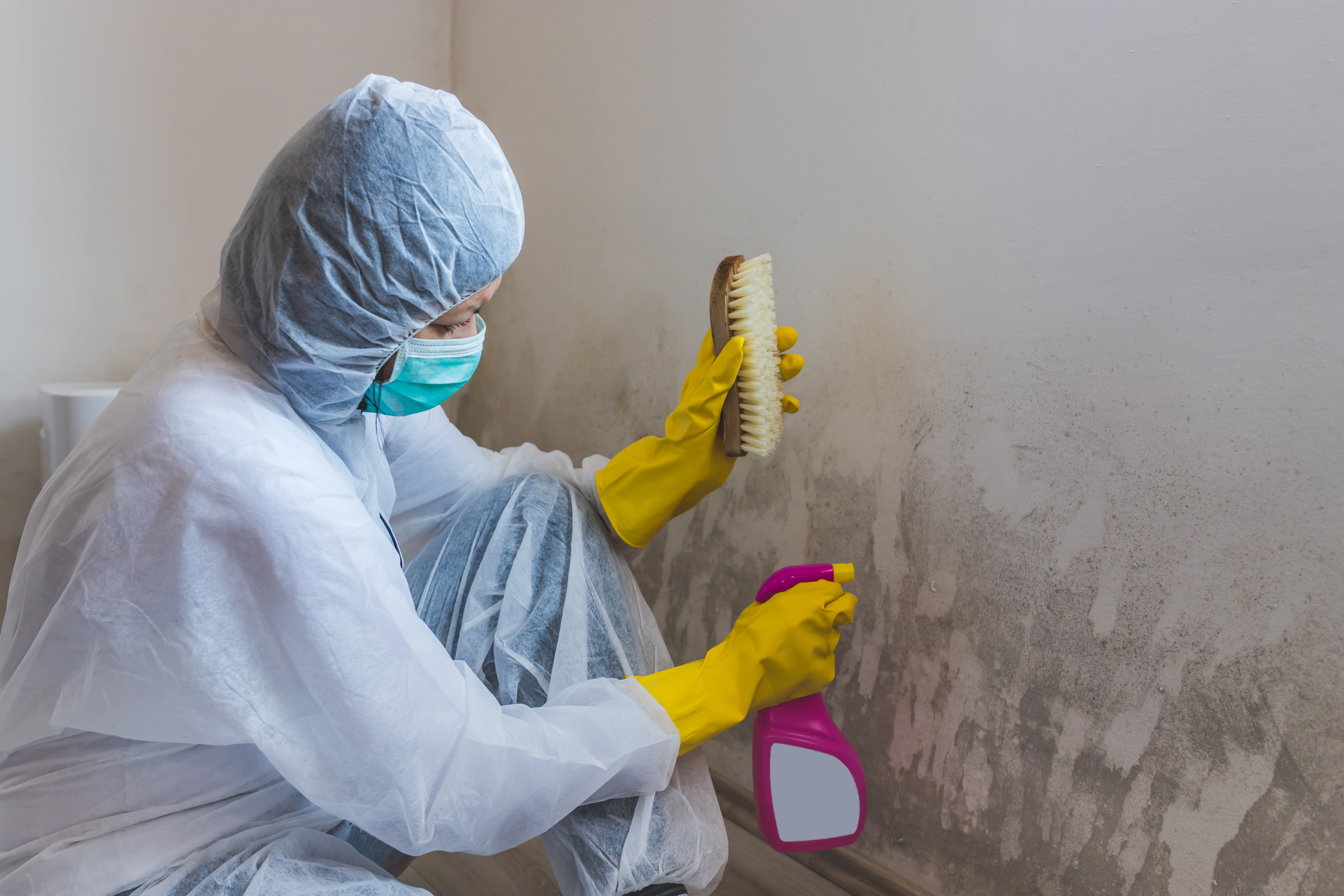 Wallpaper Can Cause Mold. Here’s What To Do – House Overhaul